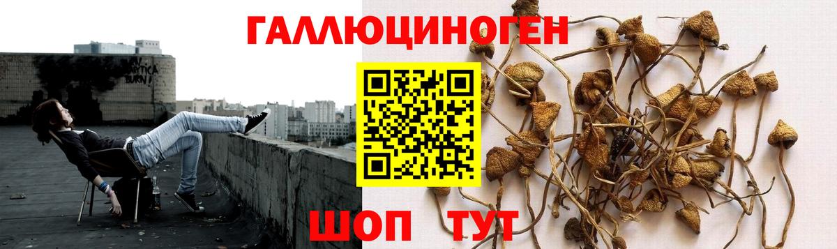 Псилоцибиновые грибы мицелий  Вход с VPN  Удомля  Галлюциногенные грибы Cubensis 