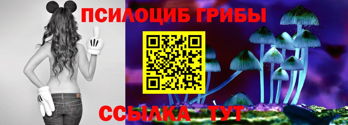 Галлюциногенные грибы мухоморы Удомля